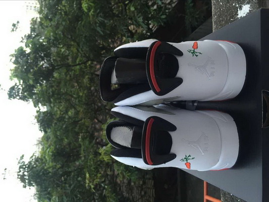 Jordan 6 Women AAA 31